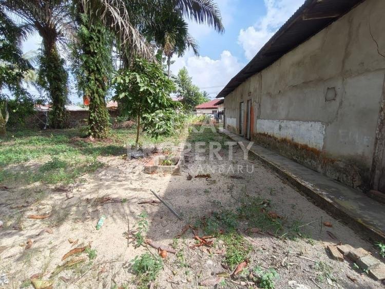 Lihat semua foto
