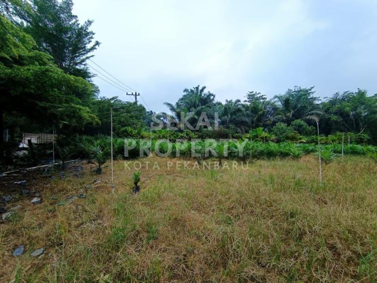 DIJUAL SEBIDANG TANAH LOKASI JALAN LINTAS TIMUR / HANGTUAH  - PEKANBARU