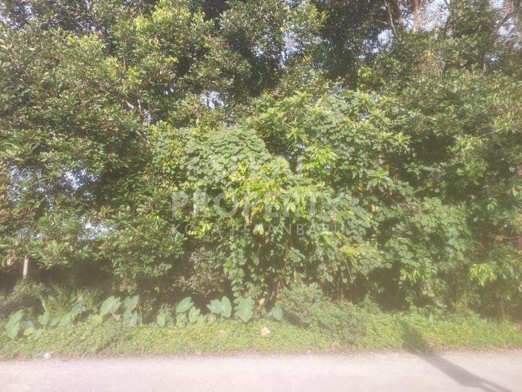 Dijual Tanah Keras di Lipat Kain Kampar Kiri