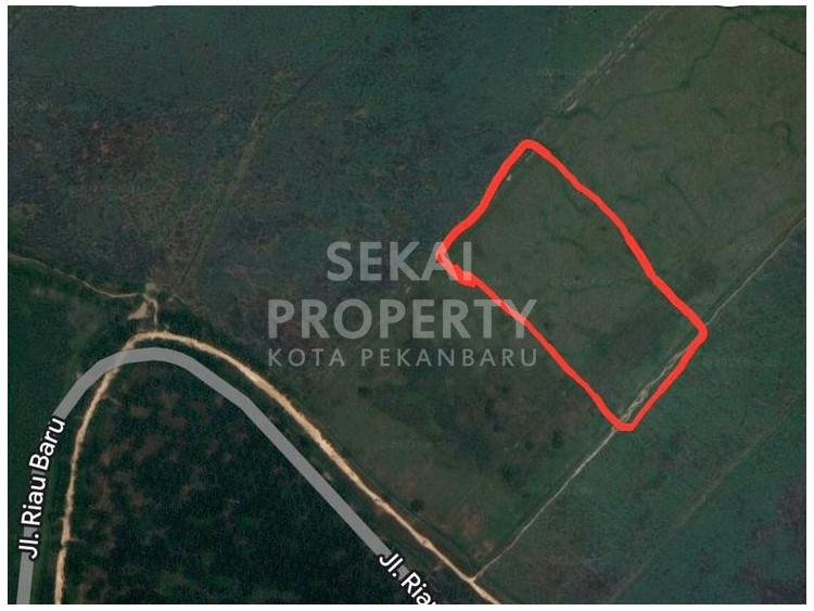 Dijual sebidang tanah 13 H di Riau Baru / Tapung - Pekanbaru