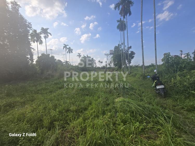 DIJUAL TANAH JL. PEMBINA - RUMBAI