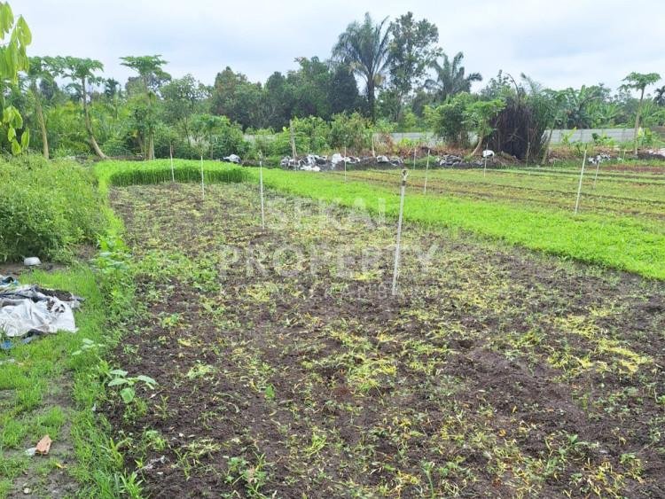 DIJUAL SEBIDANG TANAH JL.GARUDA SAKTI KM6