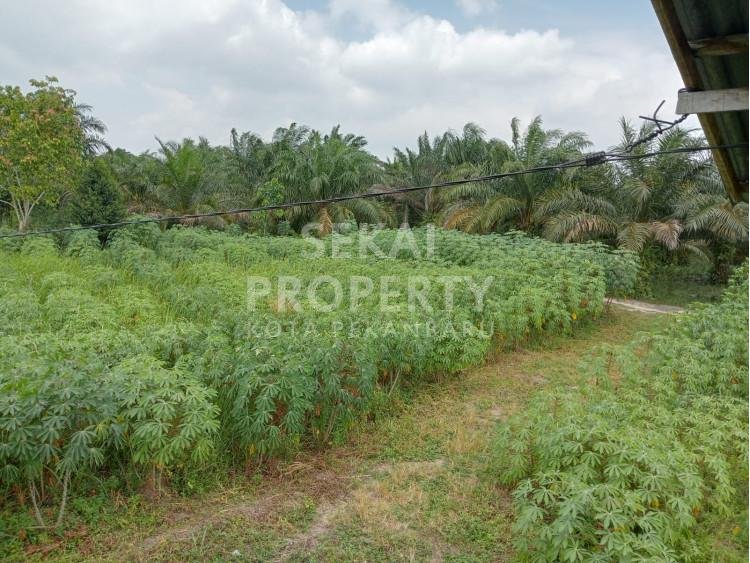 Dijual sebidang tanah di garuda sakti km 9 - pekanbaru