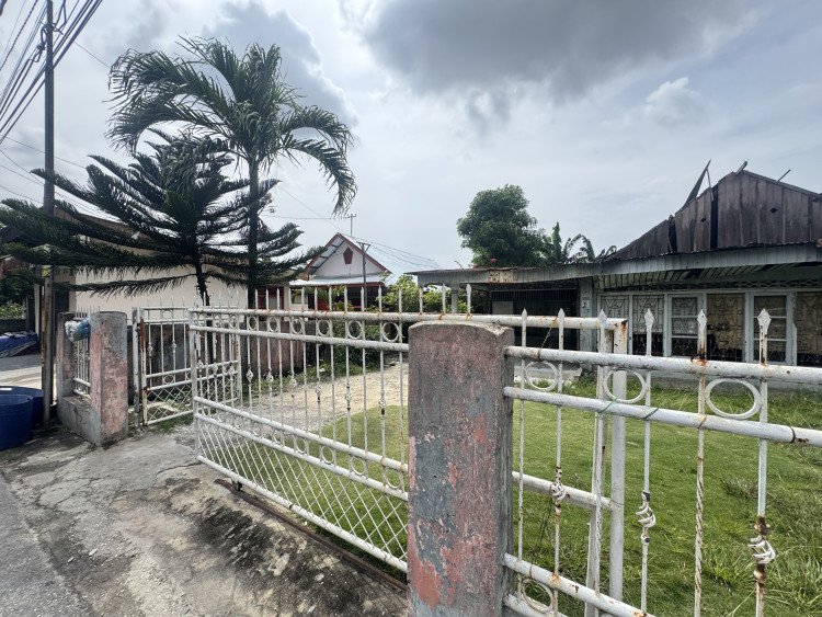 Lihat semua foto