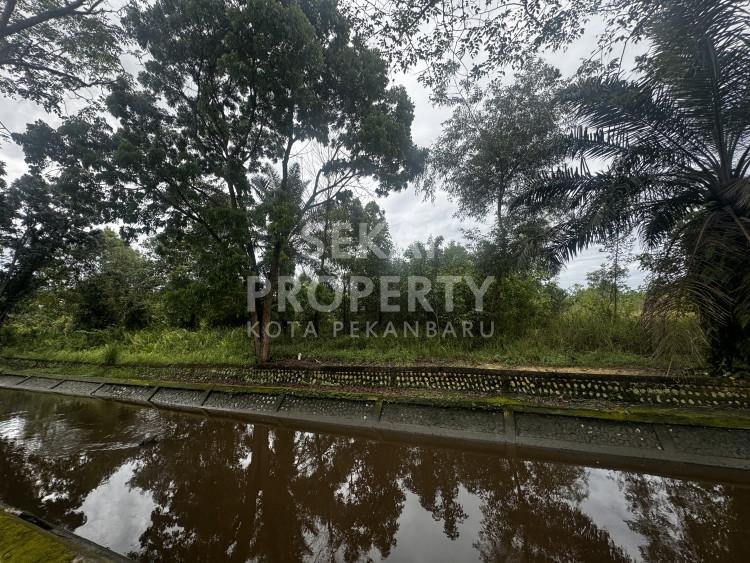 Lihat semua foto