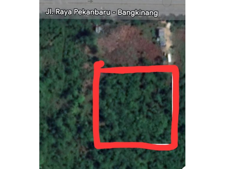 DI JUAL SEBIDANG TANAH DI JALAN RAYA PEKANBARU - BANGKINANG RIMBO PANJANG KM 22