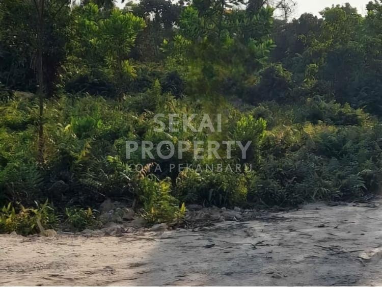DIJUAL SEBIDANG TANAH LOKASI JL.KEMPAS/PARIT INDAH-PEKANBARU