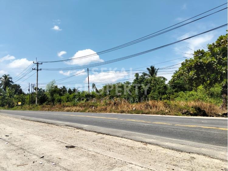 DIJUAL SEBIDANG TANAH DATAR TEPI JALAN LOKASI PASIR PUTIH-PEKANBARU