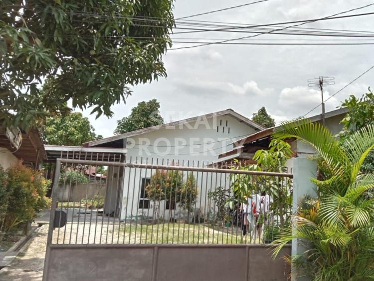 Lihat semua foto