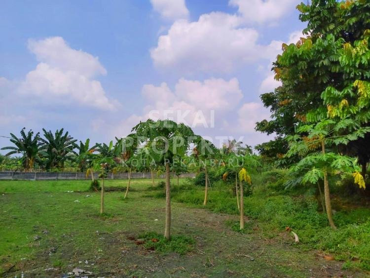 Dijual Tanah murah di Jl. Teropong
