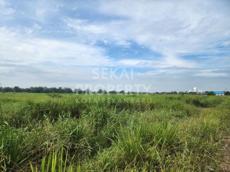 Dijual Tanah dengan Luas 8 Ha di Palas