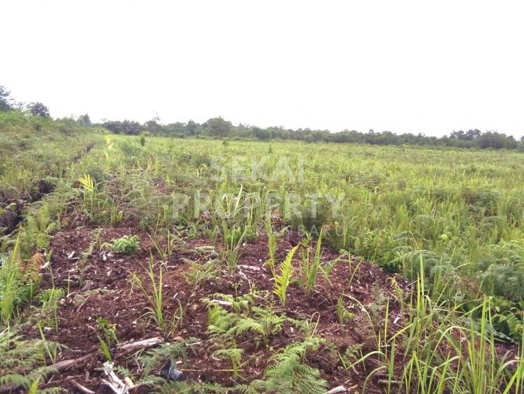 Dijual Tanah Murah Di Jl. Proyek - Siak