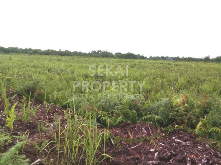 Dijual Tanah Murah Di Jl. Proyek - Siak