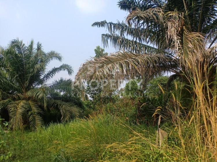 Dijual Tanah Seluas 1.108m2 di Jl Jasa Bakti/ Sigunggung (akses dekat ke Jl Dharma Bakti) - Pekanbaru