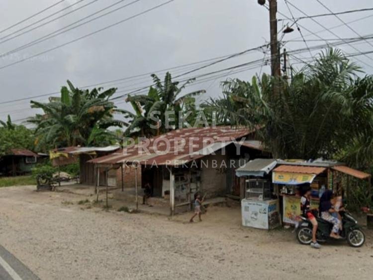 Lihat semua foto