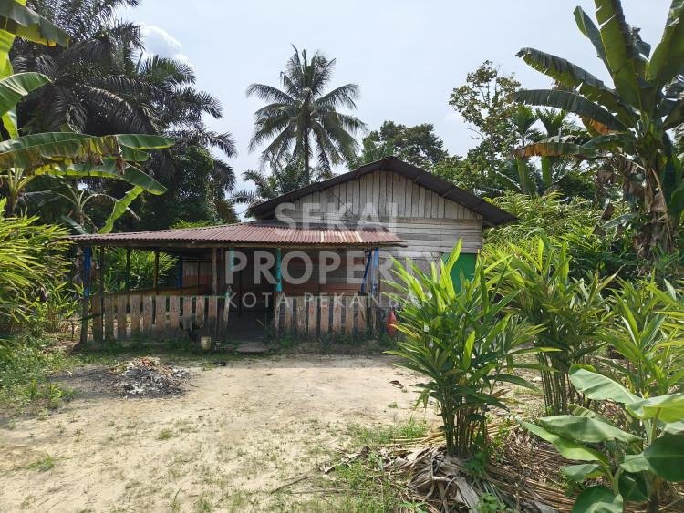 DISEWAKAN TANAH LOKASI KULIM HANG TUAH
