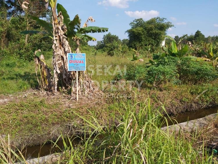 Dijual Tanah Jl Sumber Sari - Pekanbaru