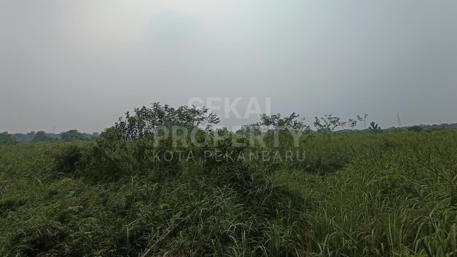 Lihat semua foto