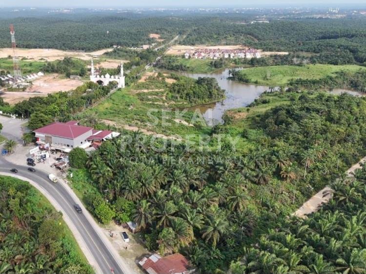 DIJUAL SEBIDANG TANAH LOKASI DI PELALAWAN KM 55 - PANGKALAN KERINCI