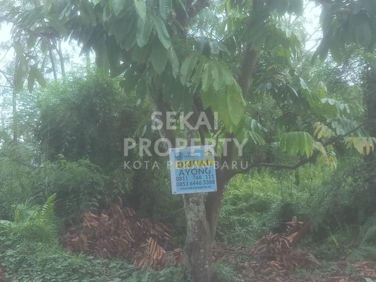 Dijual Sebidang tanah lokasi Tengah kota di Jl. Marsan / Panam - Pekanbaru