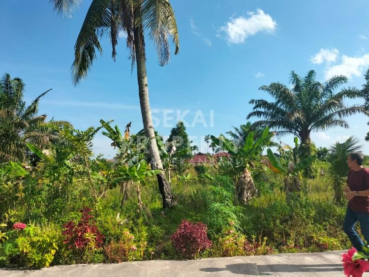 Di Jual Tanah sumber rezeki pandau