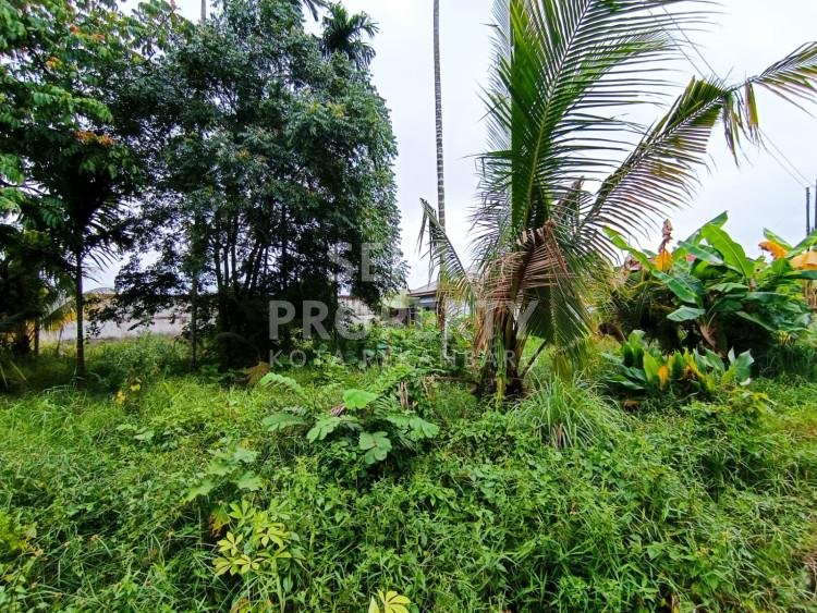 DI JUAL TANAH MURAH  TENGAH KOTA  DI JL LIMBAT DEKAT JALAN SOEKARNO HATTA