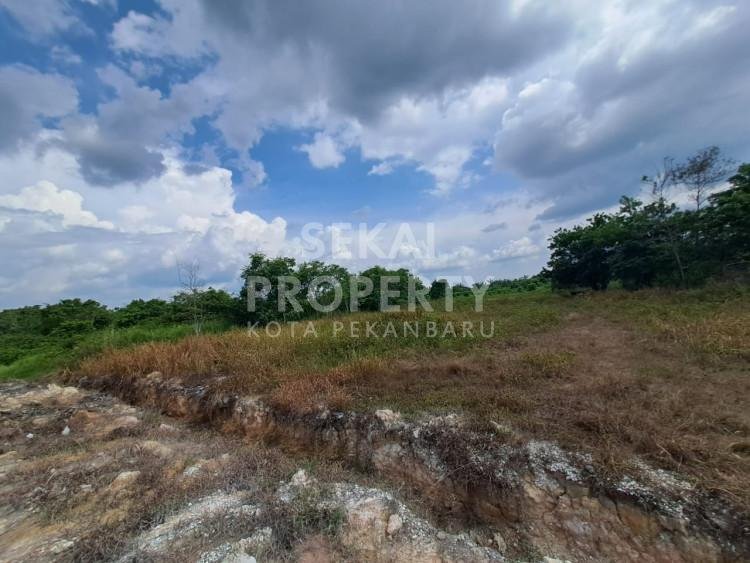 DIJUAL SEBIDANG TANAH LOKASI DEKAT JL. SUDIRMAN - PEKANBARU
