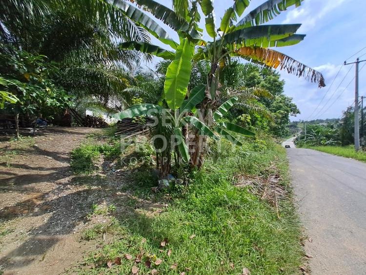 Dijual sibidang tanah di jl.karya bakti tenayan raya-pekanbaru
