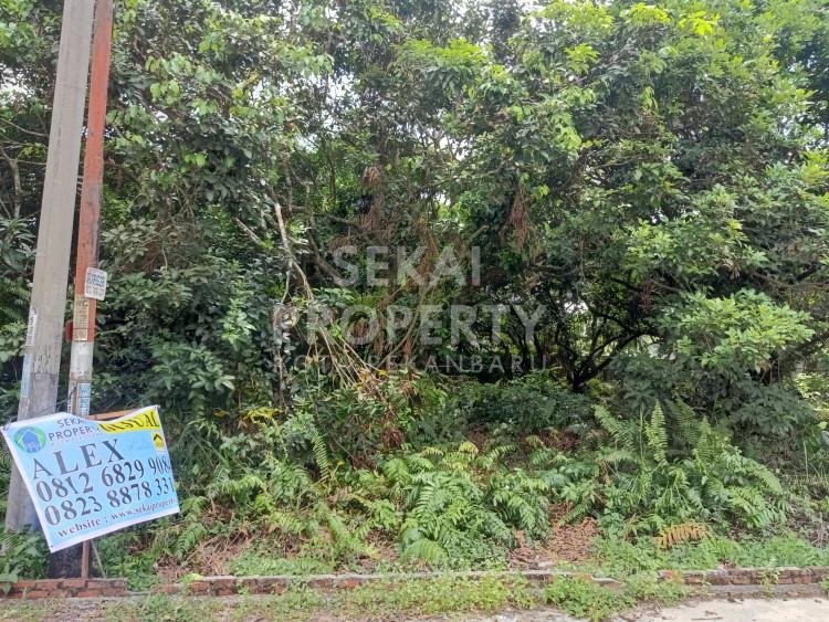 Dijual Tanah Tepi Jalan Murah di Jalan Asofa - Pekanbaru