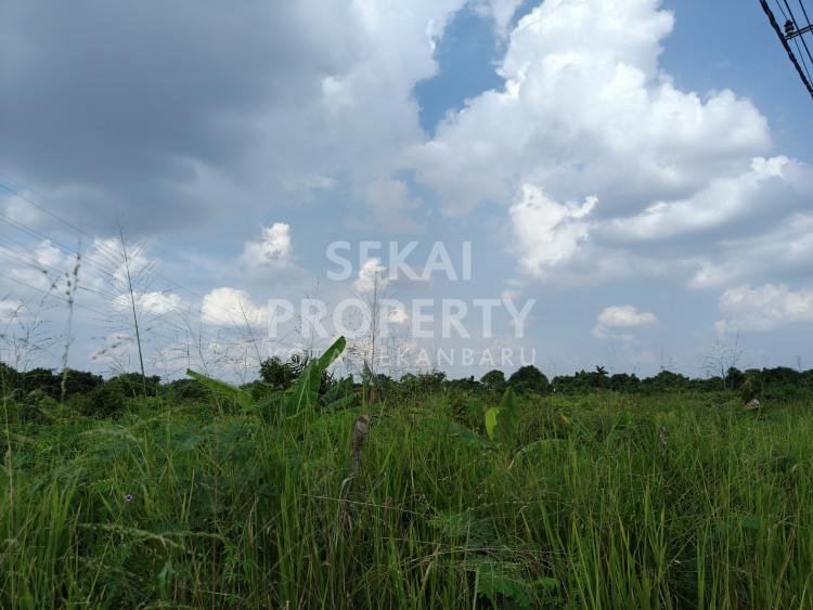 DIJUAL DUA BIDANG TANAH LOKASI JALAN PUNAK PEKANBARU RIAU