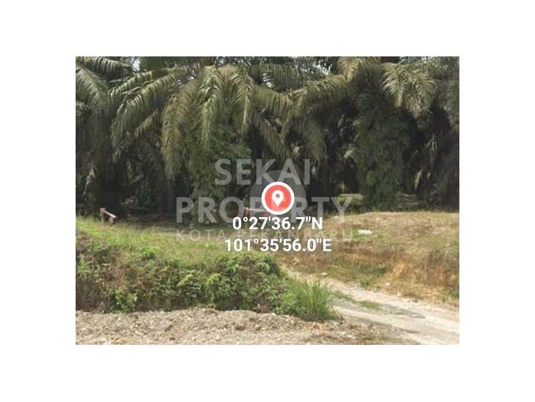 Dijual tanah di Lintas Timur Km 27 - Jambi