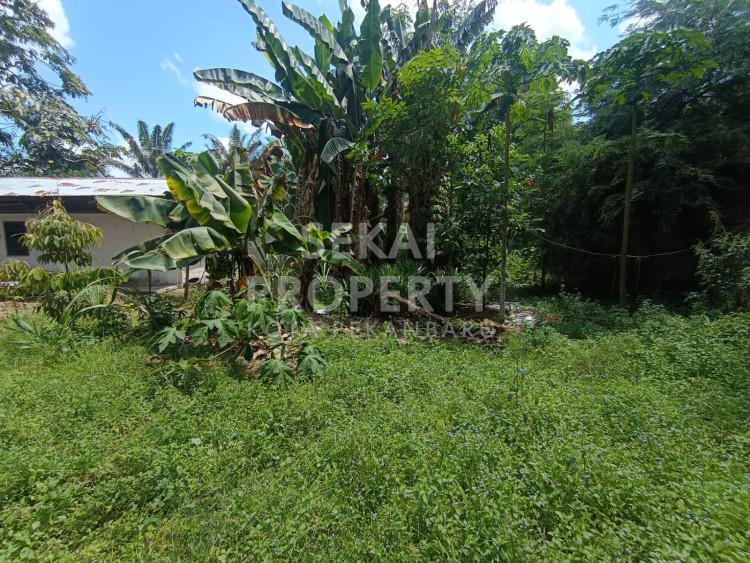 DI JUAL RUKO GANDENG JL KUBANG RAYA