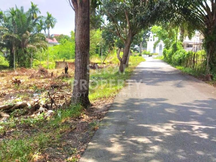 DIJUAL SEBIDANG TANAH LOKASI DEKAT JL.KELAPA SAWIT/HARAPAN RAYA - PEKANBARU