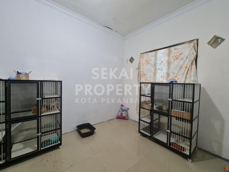 Lihat semua foto