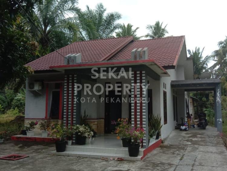 Dijual Rumah Bulatan 120/500/M2 Luhak Nan Duo Pasaman Barat