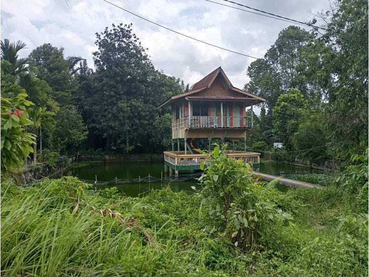 Dijual Tanah + Rumah dan kolam ikan