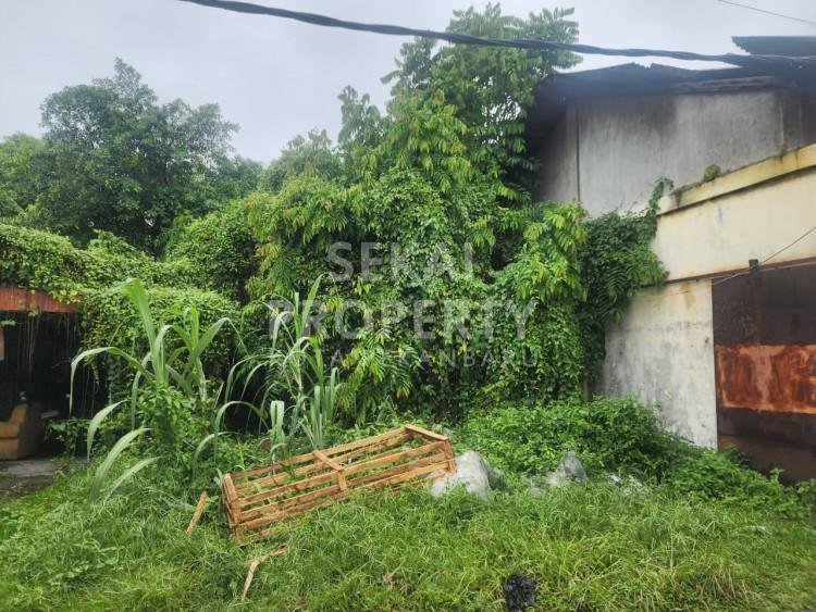 DIJUAL TANAH STRATEGIS BERLOKASI DI JL. NANGKA / TUANKU TAMBUSAI