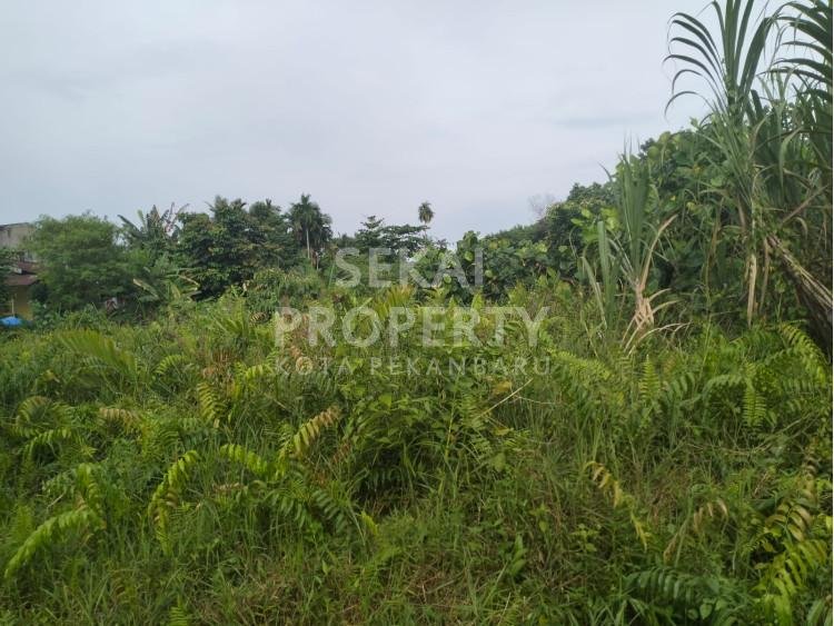 Dijual Tanah Dijalan Satria
