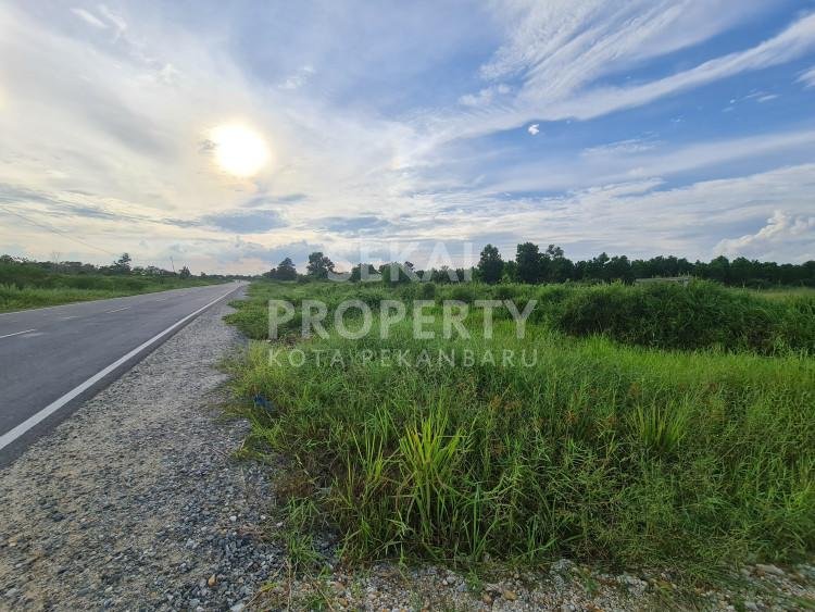 Di sewakan tanah luas 20.000 m lokasi Riau ujung tengah kota Pekanbaru