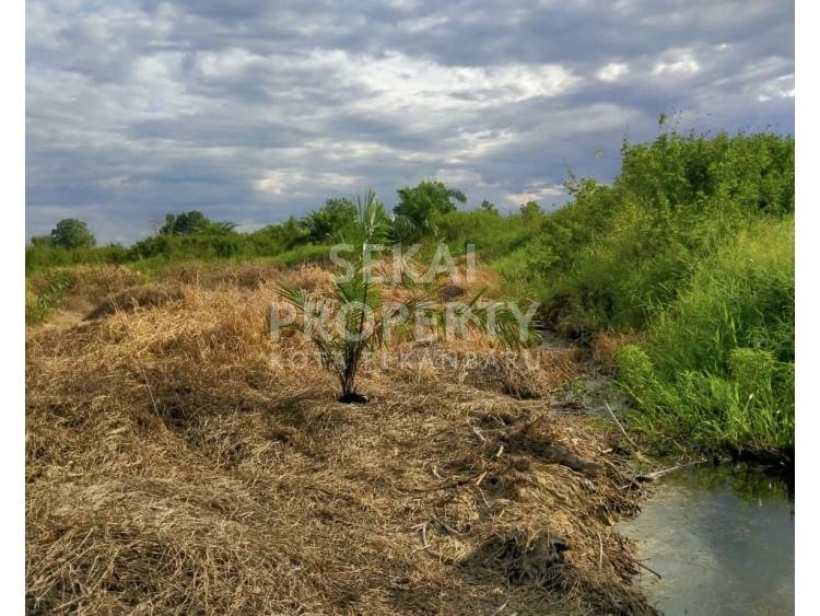 DIJUAL TANAH KOSONG Jl. RIAU UJUNG