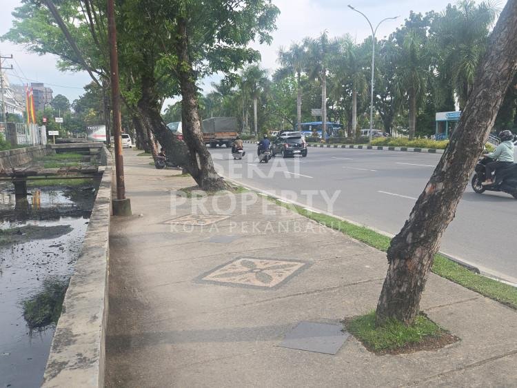 Lihat semua foto