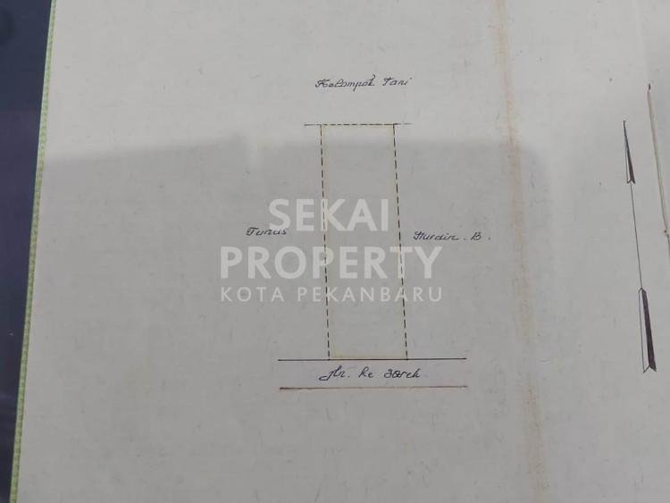 Dijual Sebidang tanah seluas 1HA lokasi Sorek dekat Kerinci
