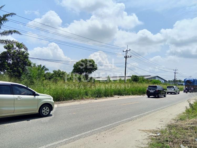 Lihat semua foto