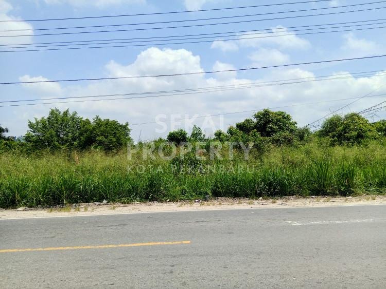 DIJUAL TANAH Uk.2 hektar JL.PASIR PUTIH - TENGKERANG UTARA