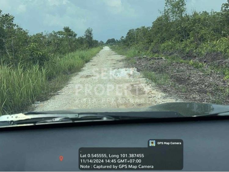DIJUAL TANAH MURAH TENGAH KOTA LOKASI DEKAT JL. PEMUDA UJUNG - PEKANBARU