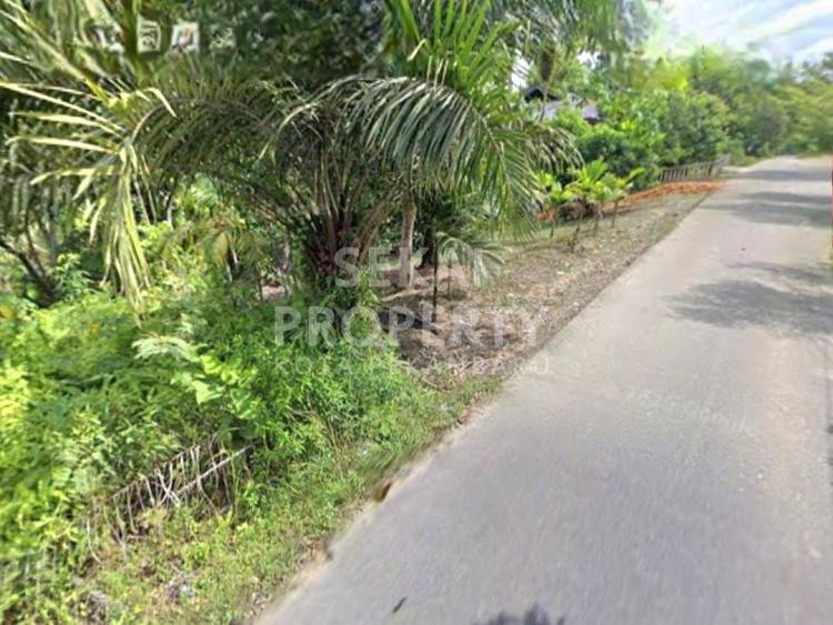 DIJUAL SEBIDANG TANAH DI JALAN PENGEMBANG - RUMBAI