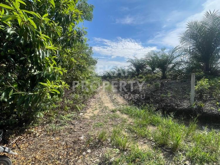 DIJUAL SEBIDANG TANAH LOKASI JALAN 70 INDUSTRI-PEKANBARU