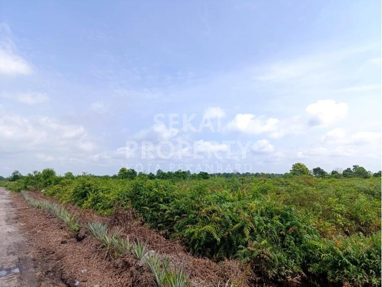 DIJUAL SEBIDANG TANAH LOKASI RIMBO PANJANG BISA TEMBUS UKA-PEKANBARU