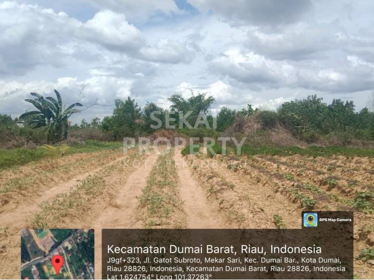 Dijual Tanah Keras, Super Luas 2 Haktare Jalan Gatot Subroto- Dumai Selatan
