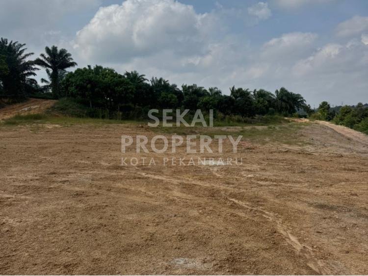 Dijual Tanah Keras Siap Bangun Ukuran 2,5 Haktare Jl Suka Maju, Muara Fajar- Rumbai